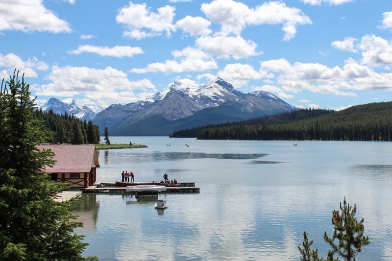 Top Things To See And Do In Jasper National Park - Mint Notion