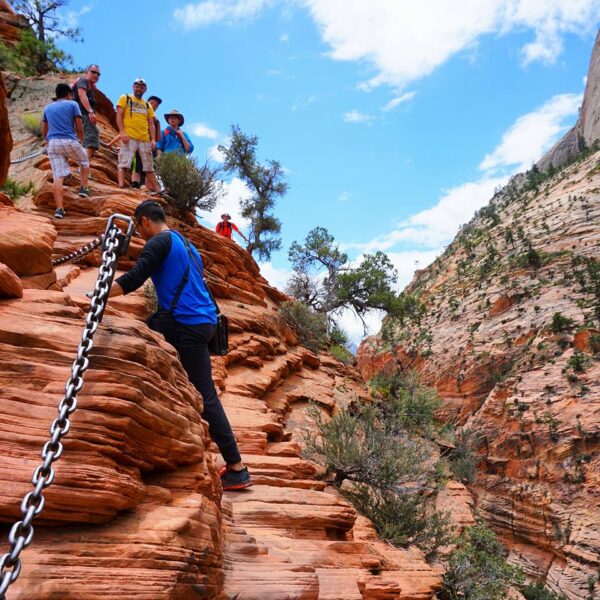 Hiking Up Angel's Landing In Zion National Park - Mint Notion