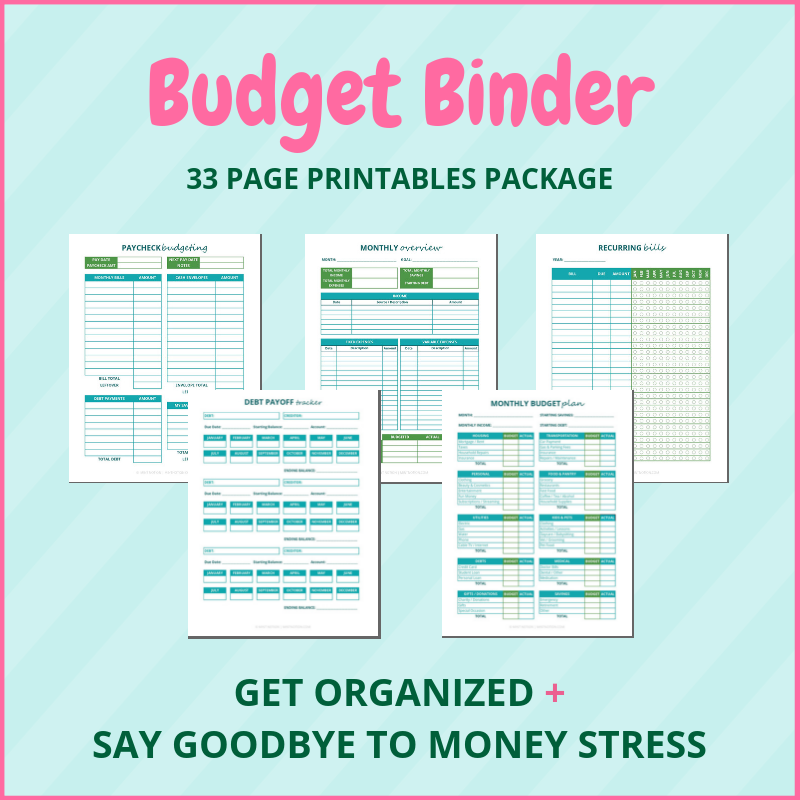 2019 Budget Binder Printables - Mint Notion