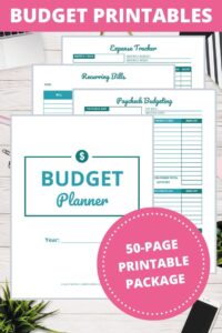 budget template notion