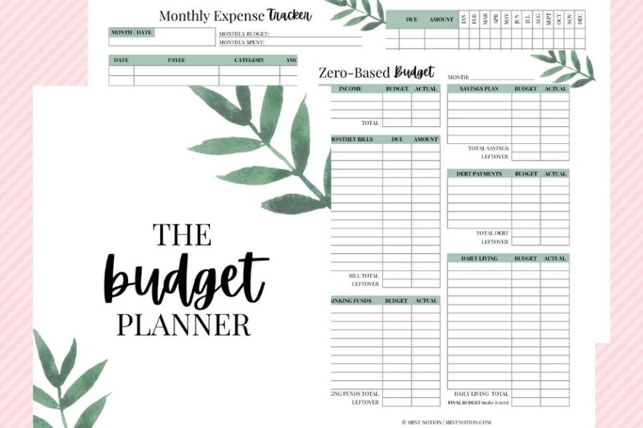 notion budget template aesthetic